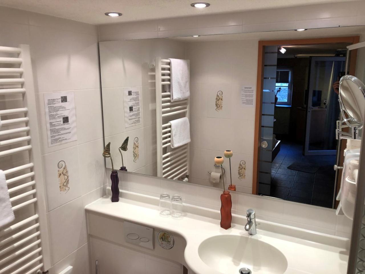 Logis Gourmet & Relax Hotel De La Sure エッシュ・シュル・シュール エクステリア 写真